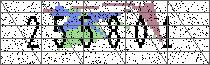 Loading Image